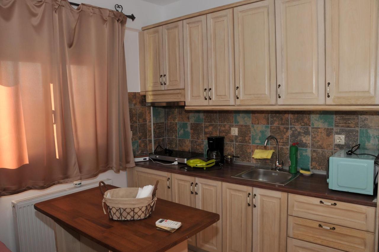 칼람파카 Dominique Meteora House 아파트 외부 사진